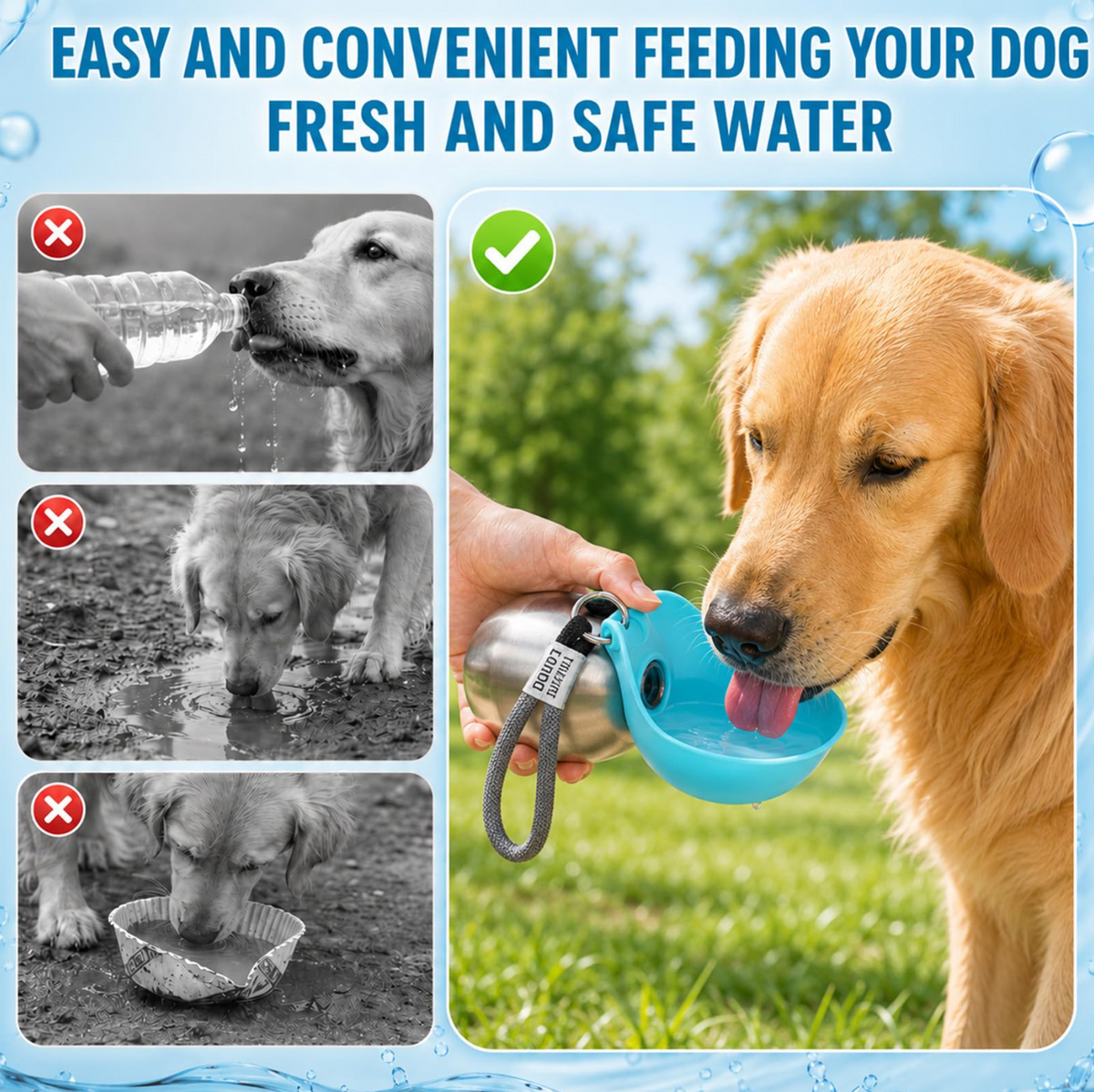 2-In-1 Portable Dog Water Bottle